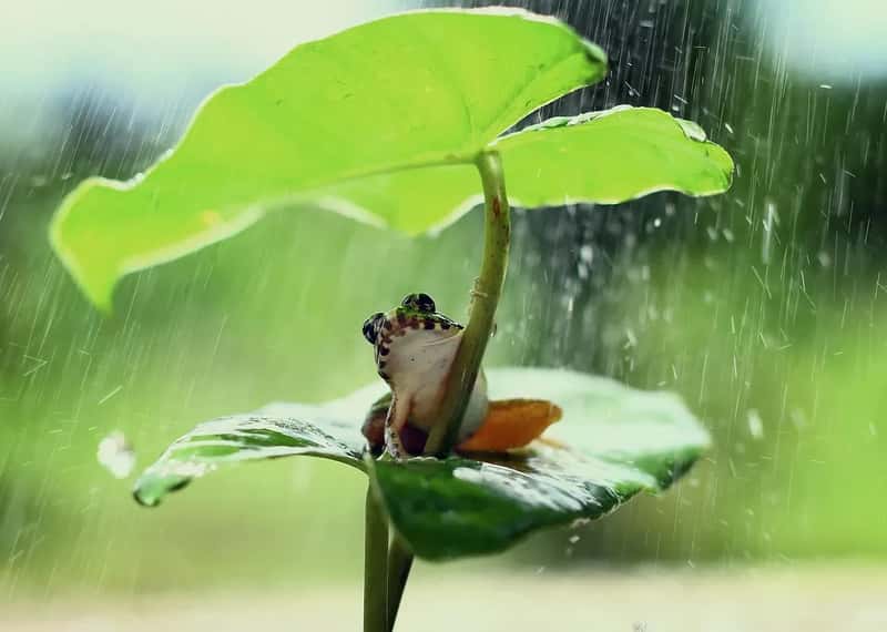 The Weather Is Not a Permanent Vacation (Image Credits: Pixabay)