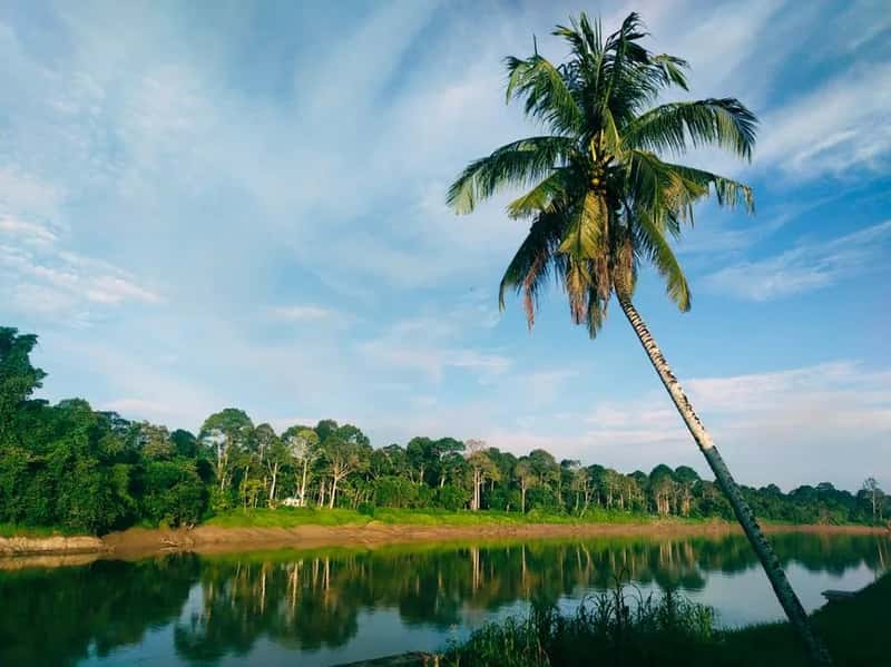 Malaysia (Image Credits: Pexels)