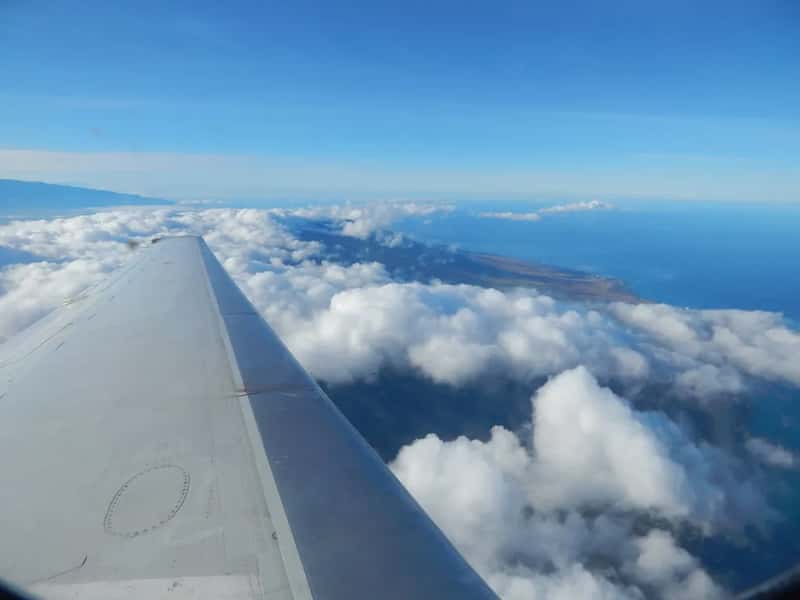 7. Onboard Coffee and Tea Aren't Always What You Expect (Starr Environmental, Flickr, CC BY 2.0)