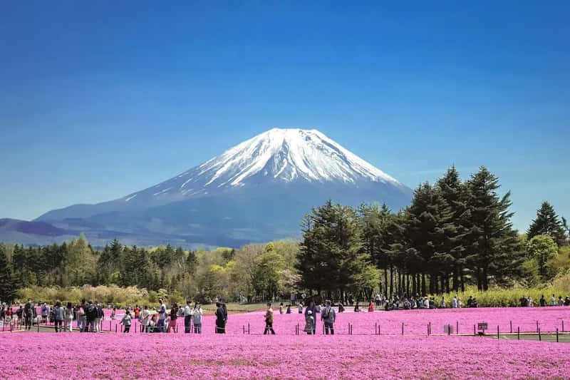 Japan: taxing hotels and rationing access to Mount Fuji (Image Credits: Unsplash)