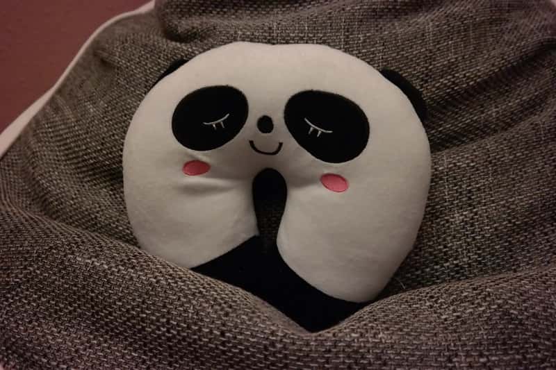 5. A dedicated travel pillow for every trip (By Teemeah, CC BY-SA 4.0)