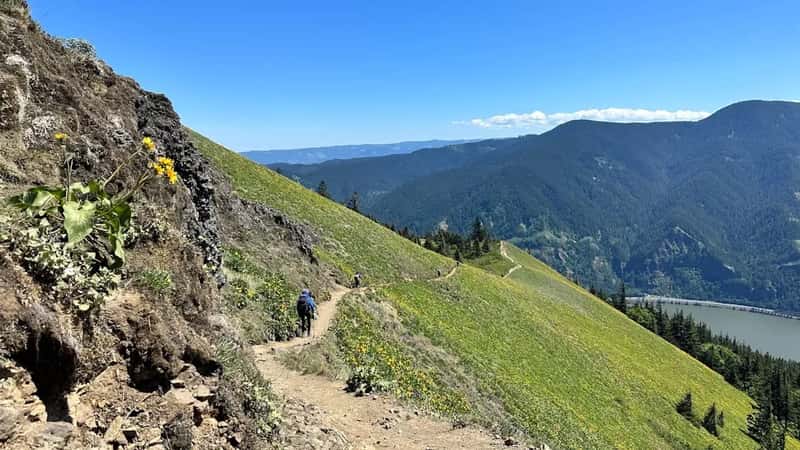 The King Crest Trail: Your Tide-Free Highway (Image Credits: Unsplash)