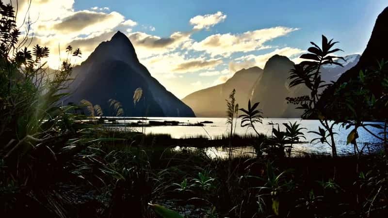 New Zealand: Space To Walk, Sail And Stargaze (Image Credits: Pexels)