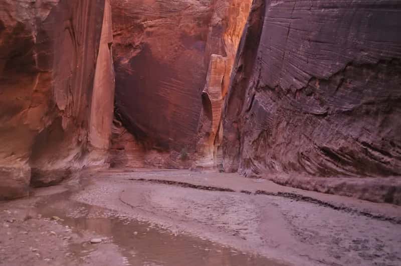 #8: Buckskin Gulch, Utah - The Longest Slot Canyon on Earth (Image Credits: Pexels)