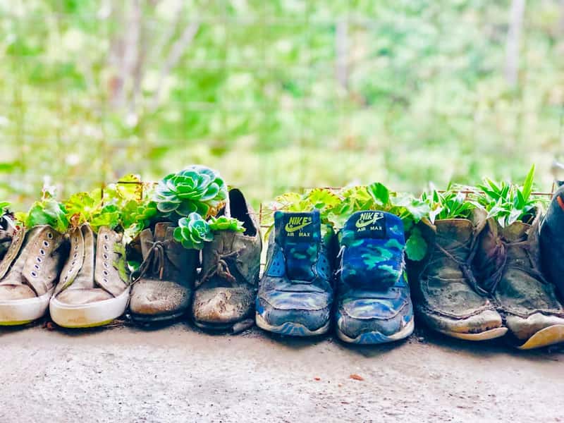 Step 1: Dress Your Family for Success (Image Credits: Unsplash)