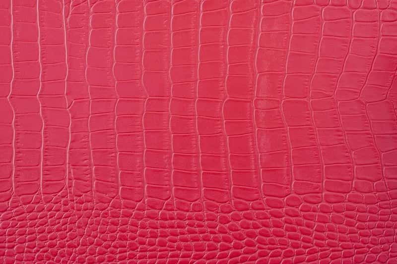 2. Exotic Reptile Skin Bags, Wallets, and Belts (Image Credits: Pixabay)