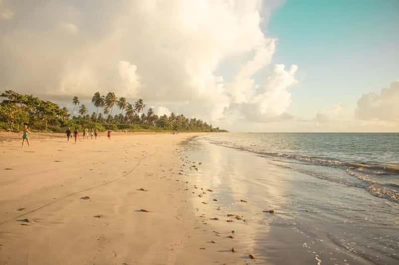 Praia do Patacho, Alagoas (Image Credits: Pexels)
