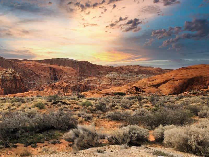 Snow Canyon State Park: Zion's Little Sibling That Deserves the Spotlight (Image Credits: Shutterstock)
