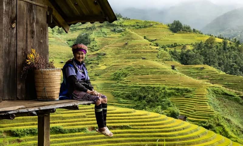 1. Vietnam (Image Credits: Unsplash)