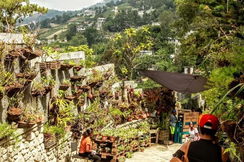 2. Haiti: When an Entire Country Becomes a No-Go Zone (Image Credits: Unsplash)
