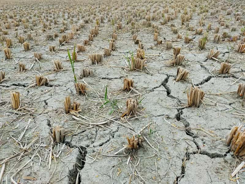 Water Shortages Made Me Question the Sustainability of It All (Image Credits: Unsplash)