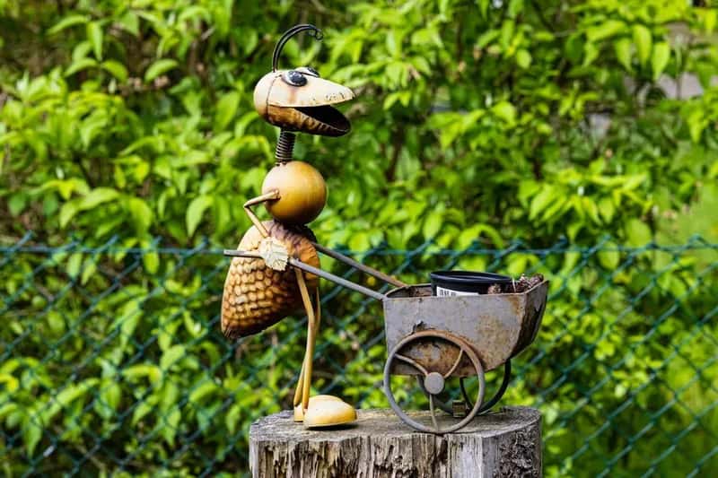 #9 - Your Spinning Lawn Ornaments Are Scaring Them Off (Image Credits: Pexels)
