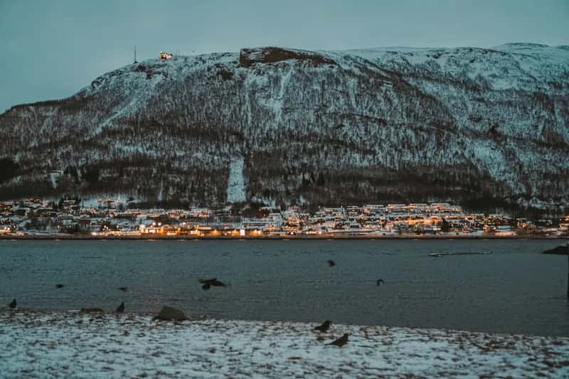 What Booking Data Shows for Nordic Cities (Image Credits: Unsplash)