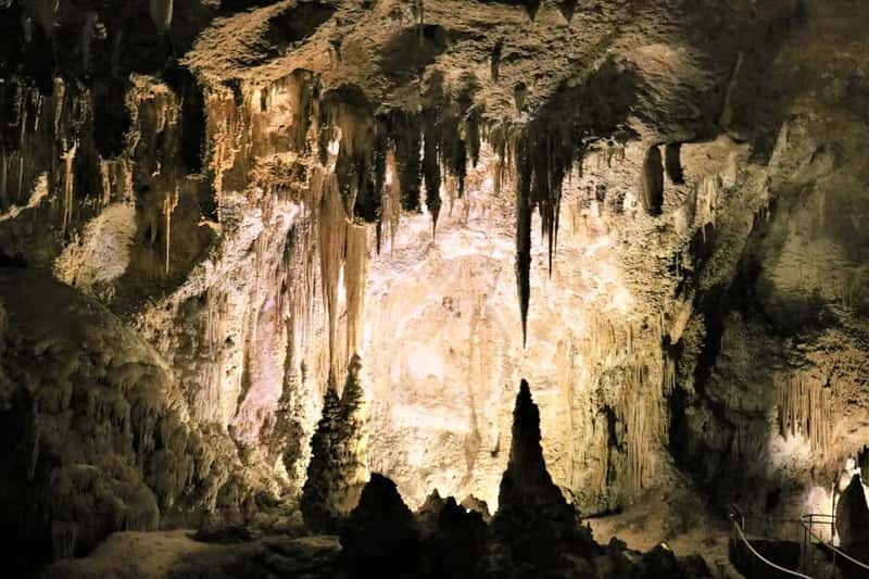 Carlsbad Caverns National Park (Image Credits: Unsplash)