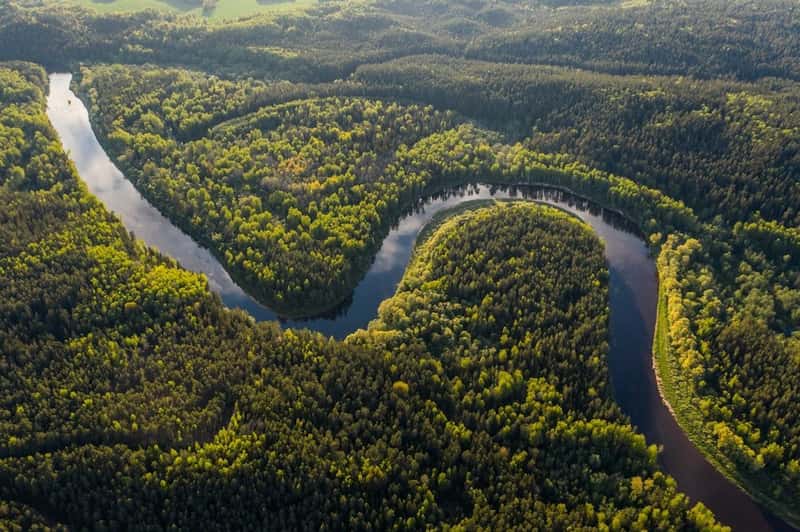 Brazil: Amazon's Remaining Heart (Image Credits: Unsplash)
