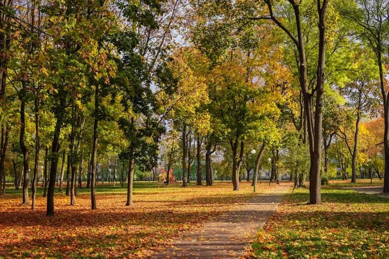 #6 - Visiting Peak Season Without a Concrete Plan B (Image Credits: Pexels)