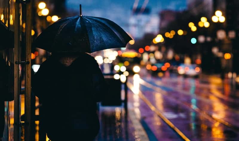 Reduced Visibility Creates Real Danger from Vehicles (Image Credits: Pixabay)