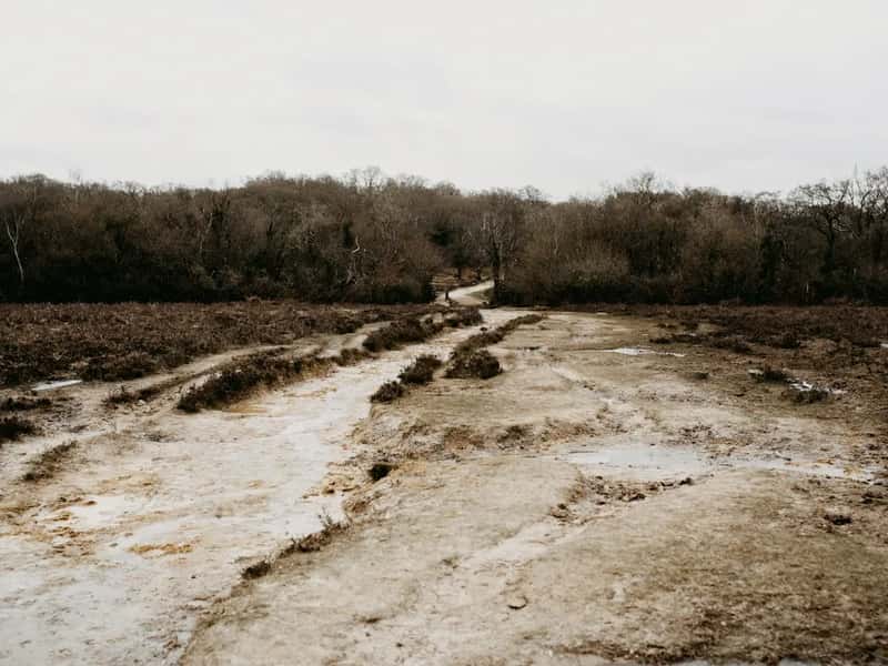 Loose Soil After a Brutal Year (Image Credits: Unsplash)