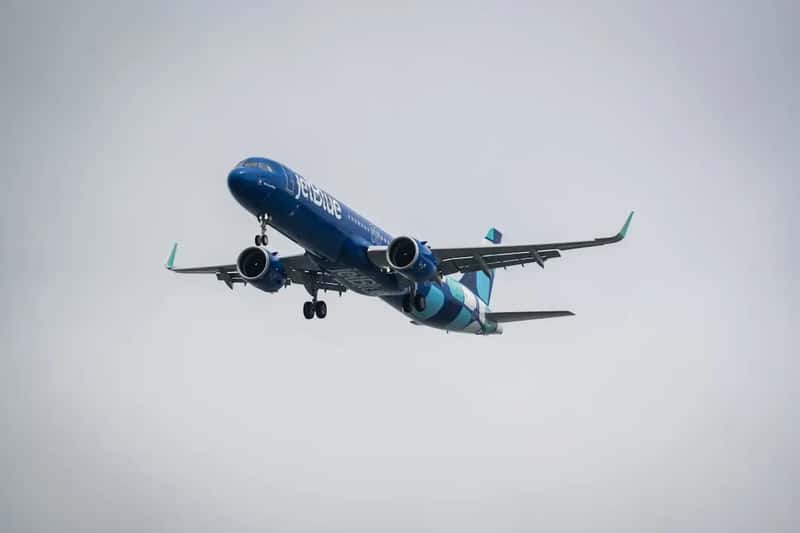#19 - They Fly on Tuesdays and Wednesdays Whenever Possible (Image Credits: Unsplash)