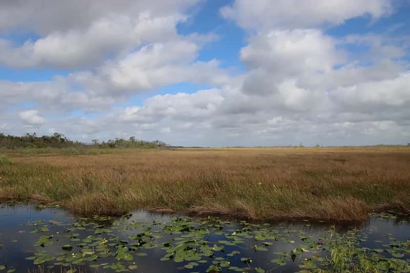 26. Everglades National Park, Florida - 741,983 Visits in 2024 (Image Credits: Pixabay)