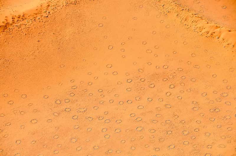 7. The Fairy Circles of Namibia - Ghostly Rings Across the Desert (Image Credits: Wikimedia)