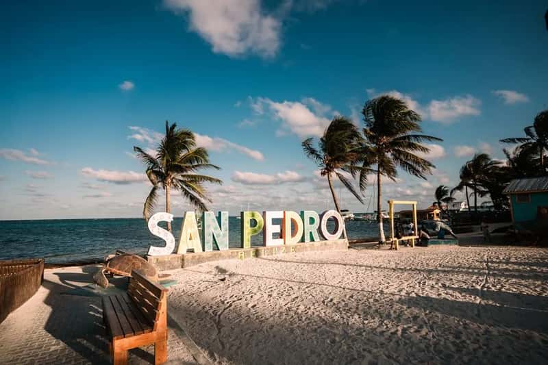 Looking beyond Mexico entirely (Image Credits: Pexels)