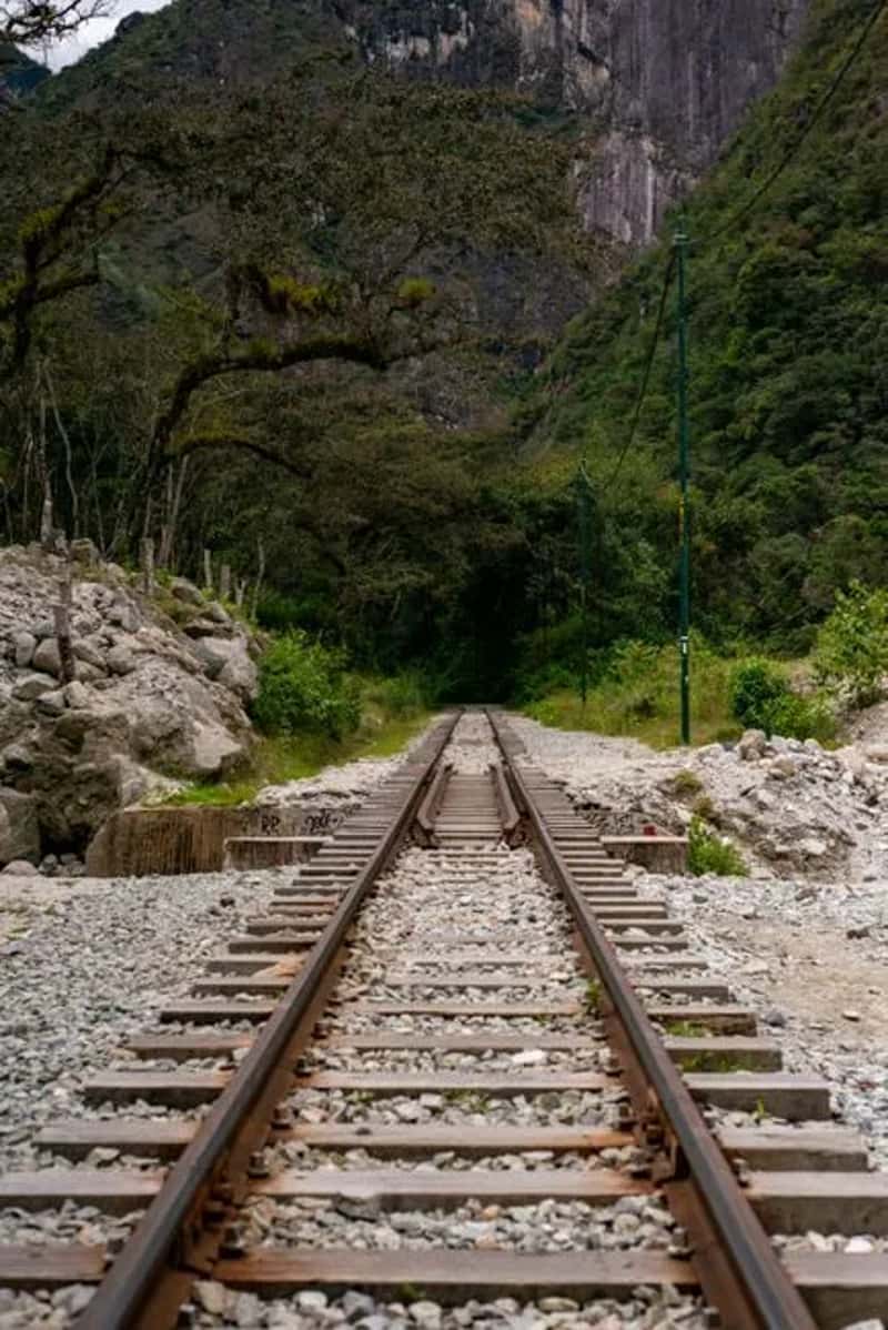 11. Bundled train and tour packages to Machu Picchu without flexibility (Image Credits: Pexels)