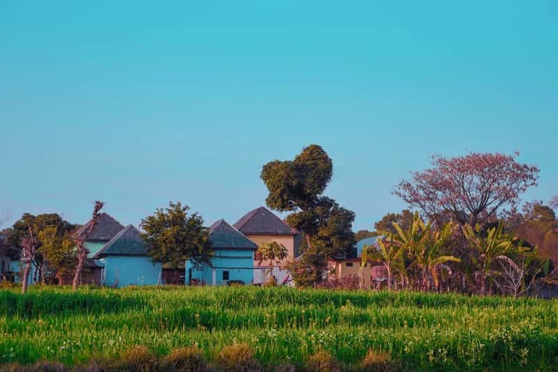 The Trade-Offs Nobody Warns You About (Image Credits: Unsplash)