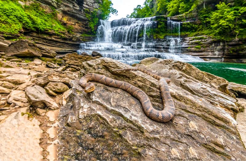 Be Aware of Water Hazards (Image Credits: Shutterstock)