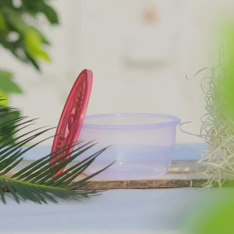 #8 - Tupperware Was a Social Event, Not a Storage Product (Image Credits: Unsplash)