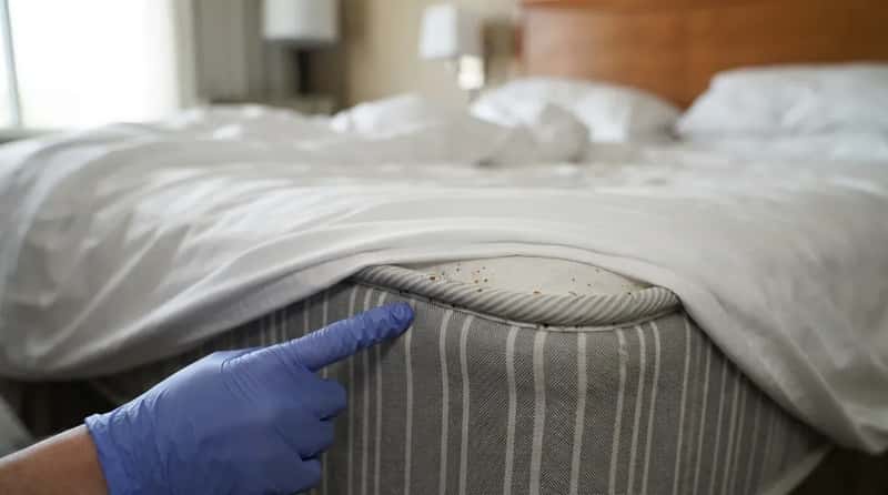 #12 - The Mattress Seams They Check Before Anything Else (Image Credits: Gemini)
