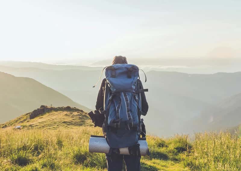 1. The Forgotten Lunch Wound (Image Credits: Pexels)