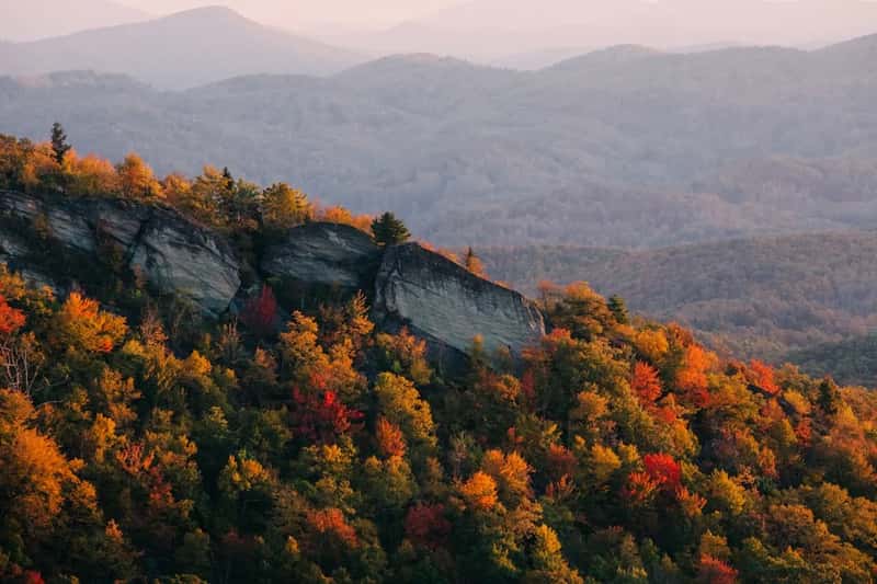 The Hunger Games kept both District 12 and the Capitol in North Carolina (Image Credits: Unsplash)
