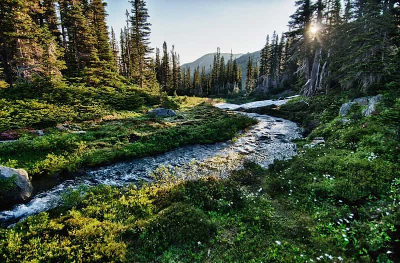 8. Olympic National Park, Washington (Image Credits: Unsplash)