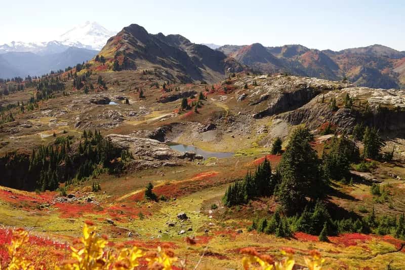 2. North Cascades National Park, Washington - 16,485 Visits in 2024 (Image Credits: Pixabay)
