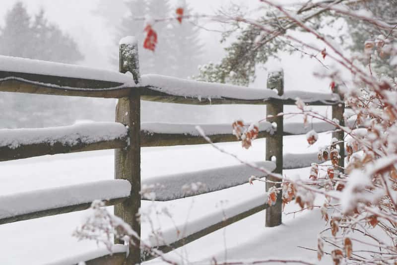 What NOAA's Winter Outlook Actually Says (Image Credits: Unsplash)