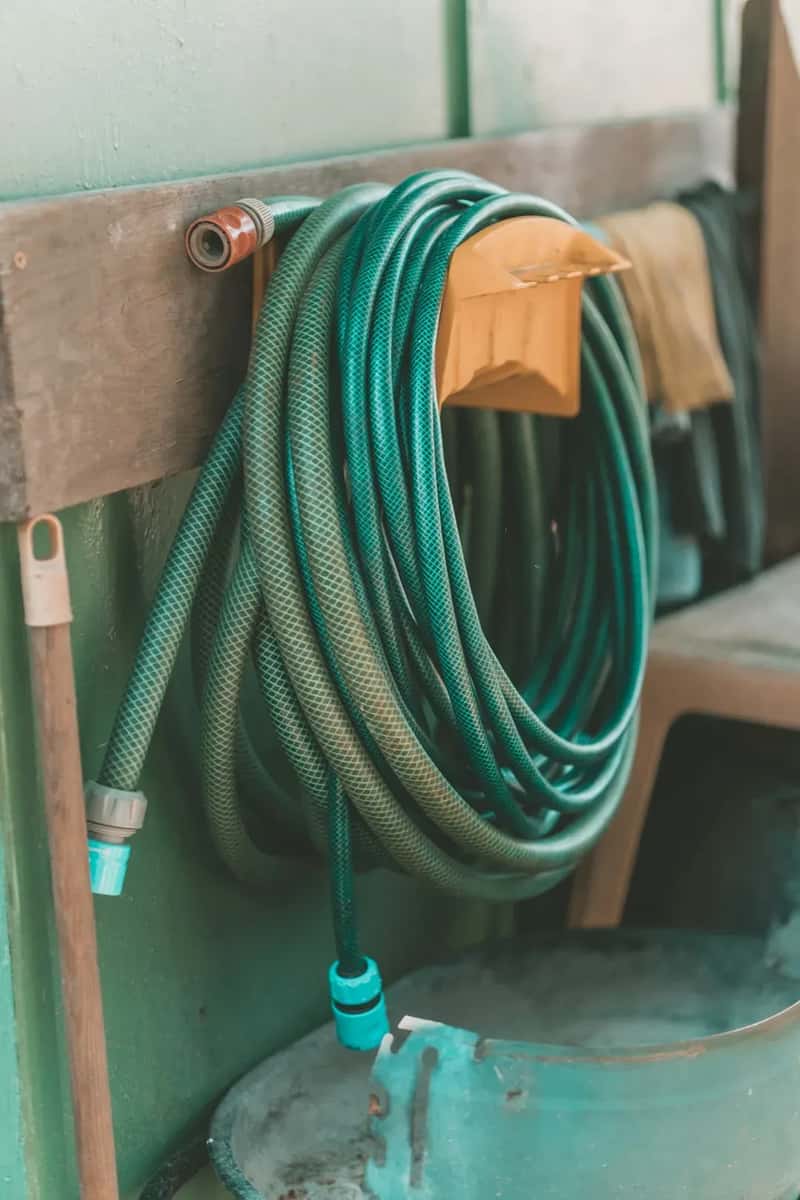 #24 - Drinking Straight From the Garden Hose (Image Credits: Unsplash)