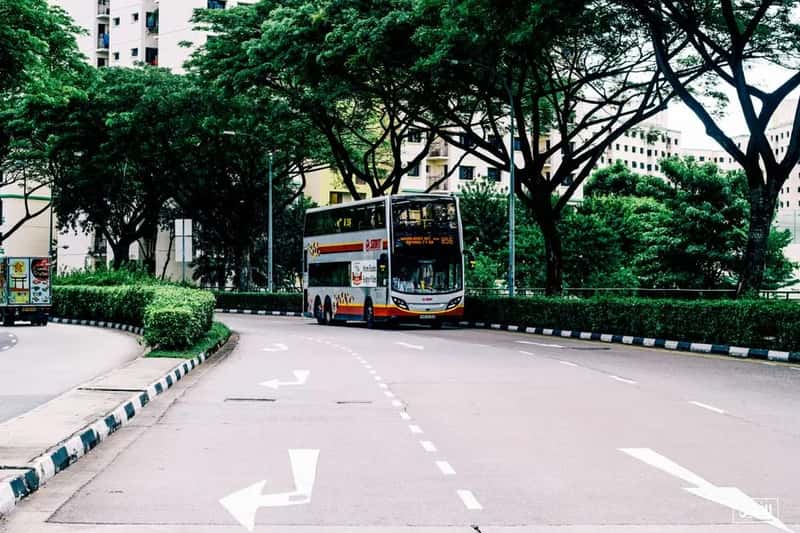 The Road To Regulation: How Singapore Got Here (Image Credits: Pexels)