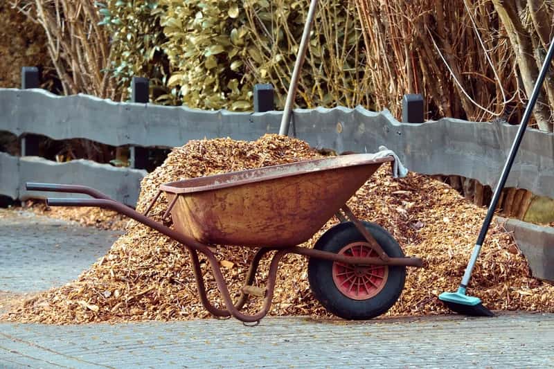 #12 - Keep Mulch Several Inches Away From All Plant Stems, Not Just Trees (Image Credits: Pixabay)