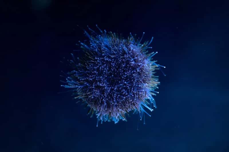 Your Immune System Takes a Measurable Hit at Altitude (Image Credits: Unsplash)