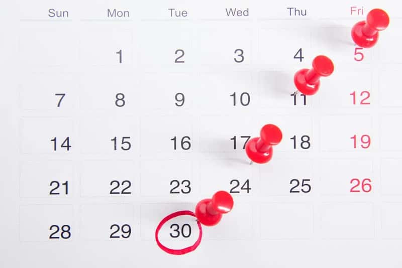 4. They Use Their Flexible Calendar (Image Credits: Unsplash)