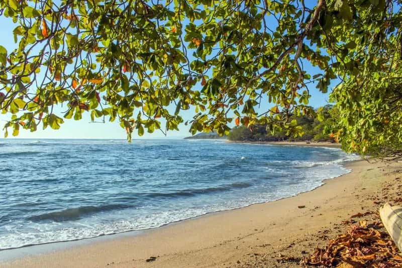 Playa Manzanillo, Nicoya - the Pacific side locals claim as their own (Image Credits: Pexels)
