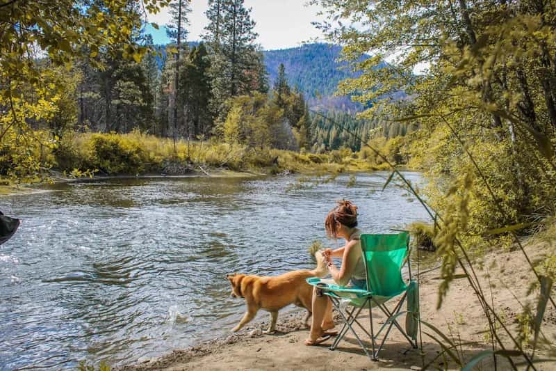 #9 - Assuming "Pet-Friendly" Means Exactly That (Image Credits: Unsplash)