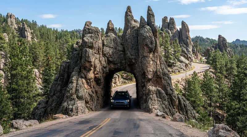 #6 - Peter Norbeck Byway: The Tunnel That Turns RVs Around (Image Credits: Gemini)
