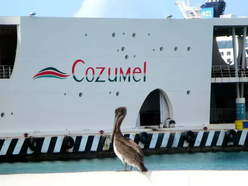 Easier Access to Cozumel (Image Credits: Wikimedia)