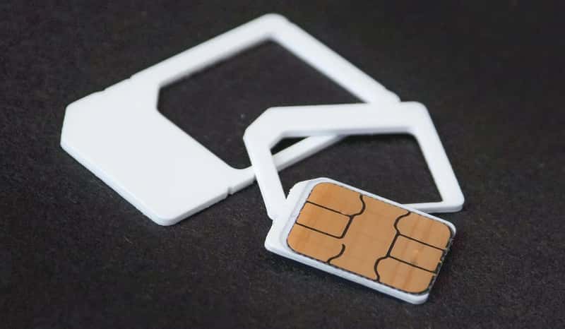 Digital Immigration, SIM Registration, and New Bans (Image Credits: Pixabay)