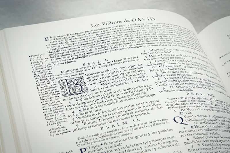 Learning Spanish matters more than most retirees expect (Image Credits: Unsplash)