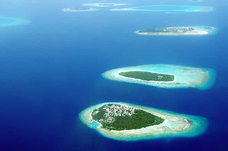 New Caledonia and Réunion: Indian Ocean Hotspots (Image Credits: Pexels)