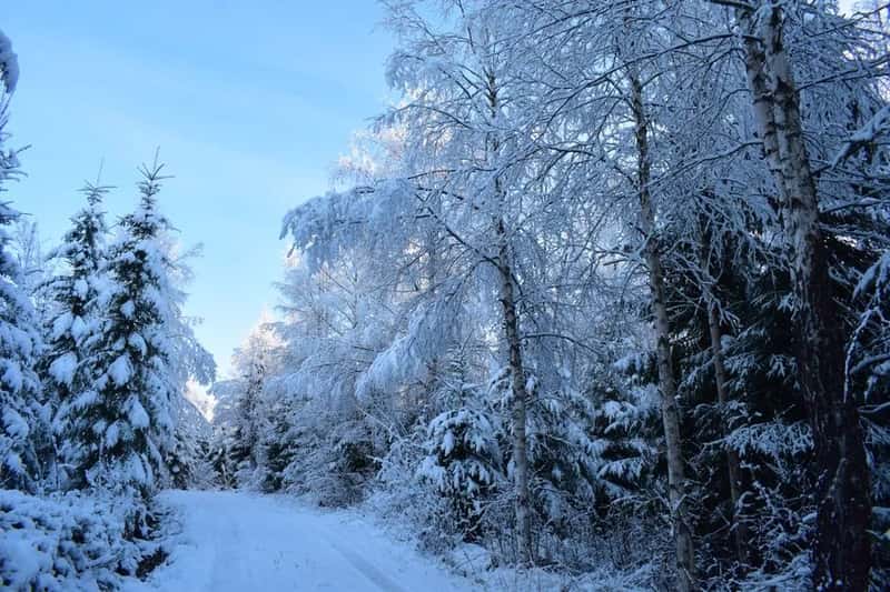 What NOAA's Winter Outlook Actually Says (Image Credits: Pexels)