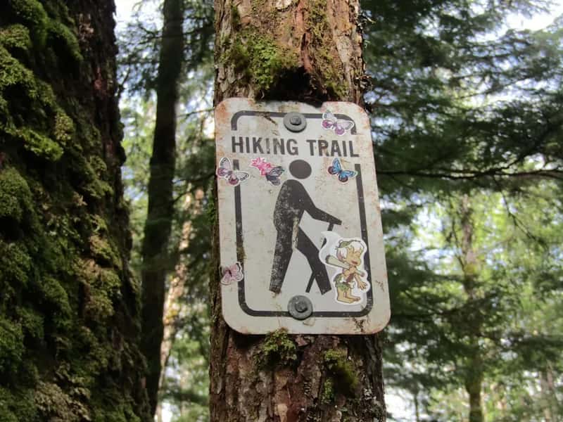 27. Overconfidence on Summit Trails (Image Credits: Unsplash)